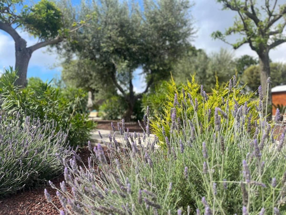 Maison Dei Trulli Daire Locorotondo Dış mekan fotoğraf
