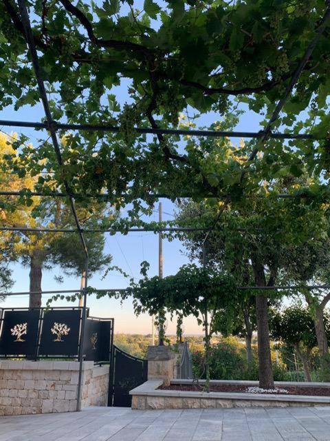 Maison Dei Trulli Daire Locorotondo Dış mekan fotoğraf