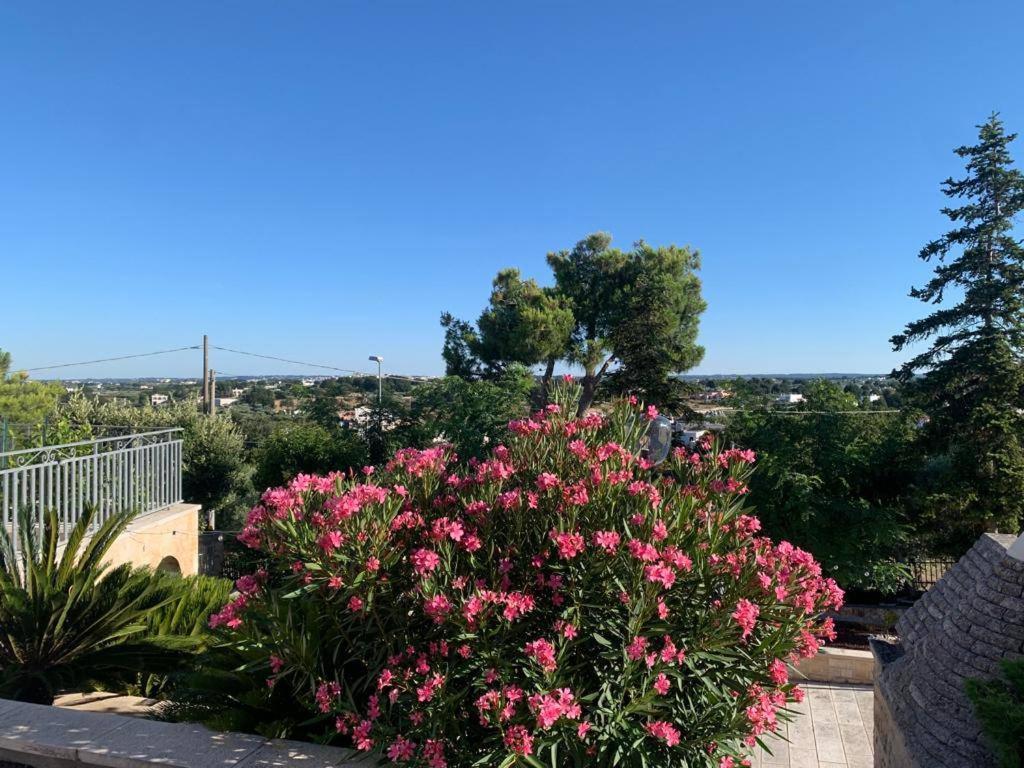 Maison Dei Trulli Daire Locorotondo Dış mekan fotoğraf