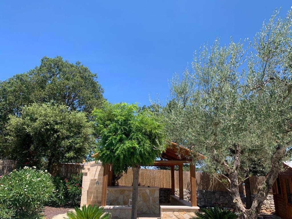 Maison Dei Trulli Daire Locorotondo Dış mekan fotoğraf