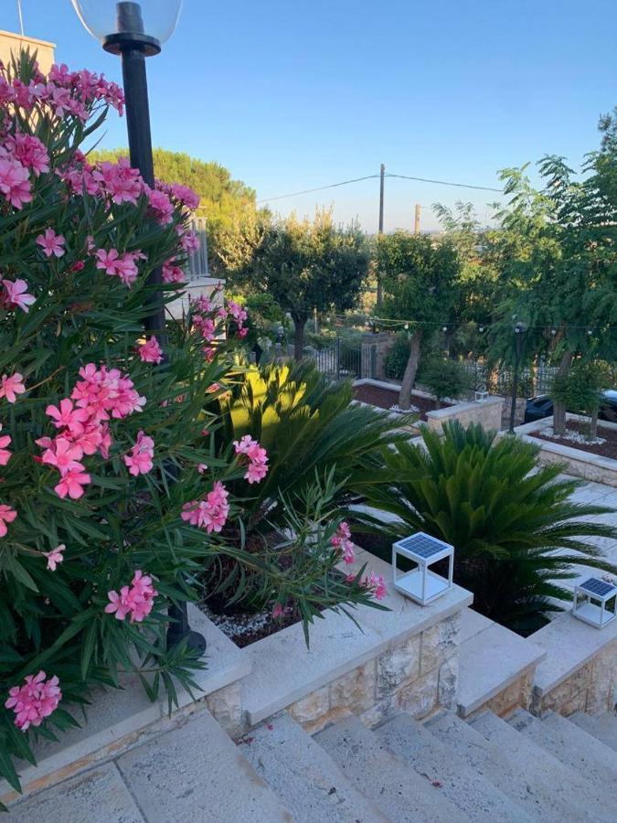 Maison Dei Trulli Daire Locorotondo Dış mekan fotoğraf