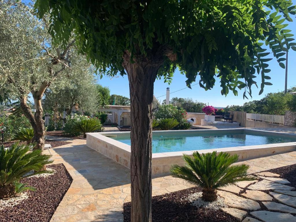Maison Dei Trulli Daire Locorotondo Dış mekan fotoğraf
