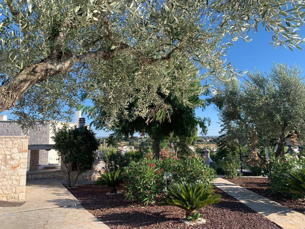 Maison Dei Trulli Daire Locorotondo Dış mekan fotoğraf